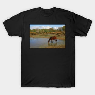 Setley Pond T-Shirt